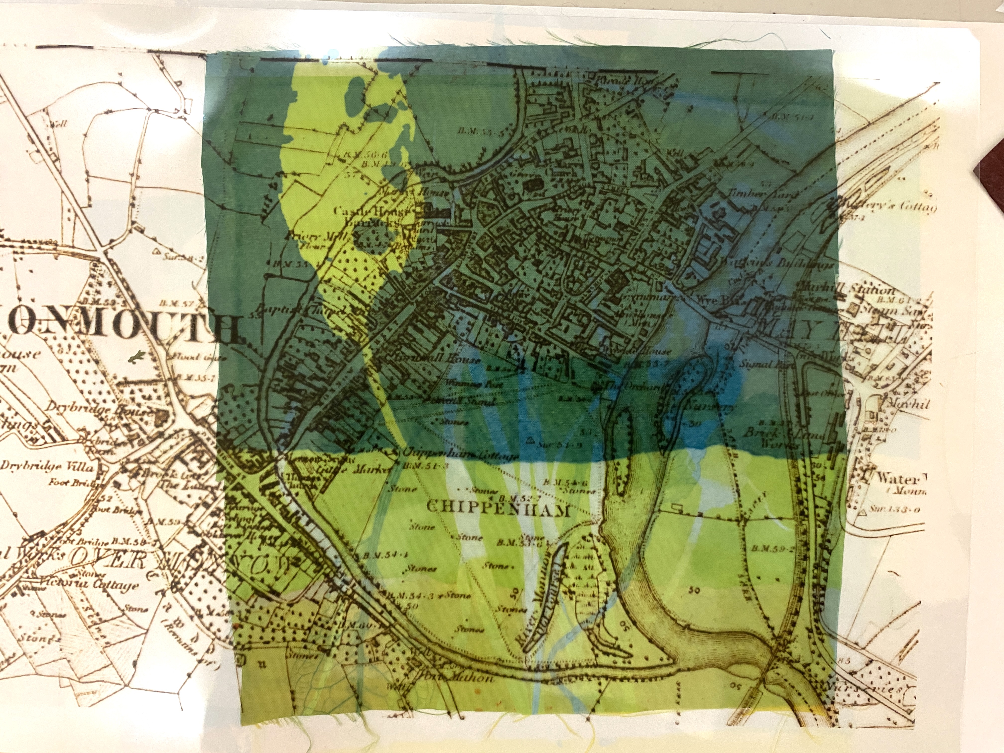 image of monmouth in a map form and a print of a leave acting as a tree