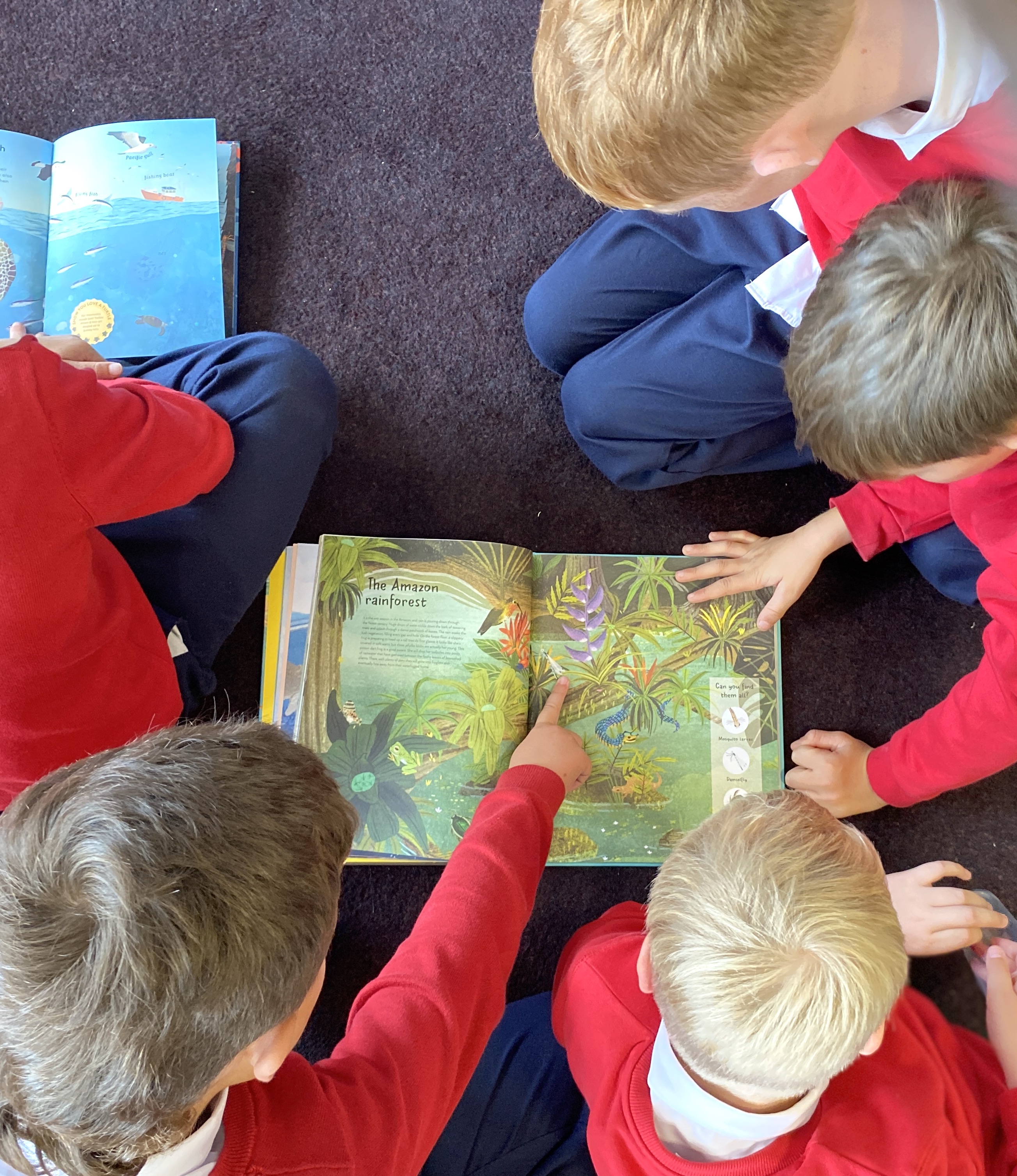 children looking at a book bu Catherine Barr