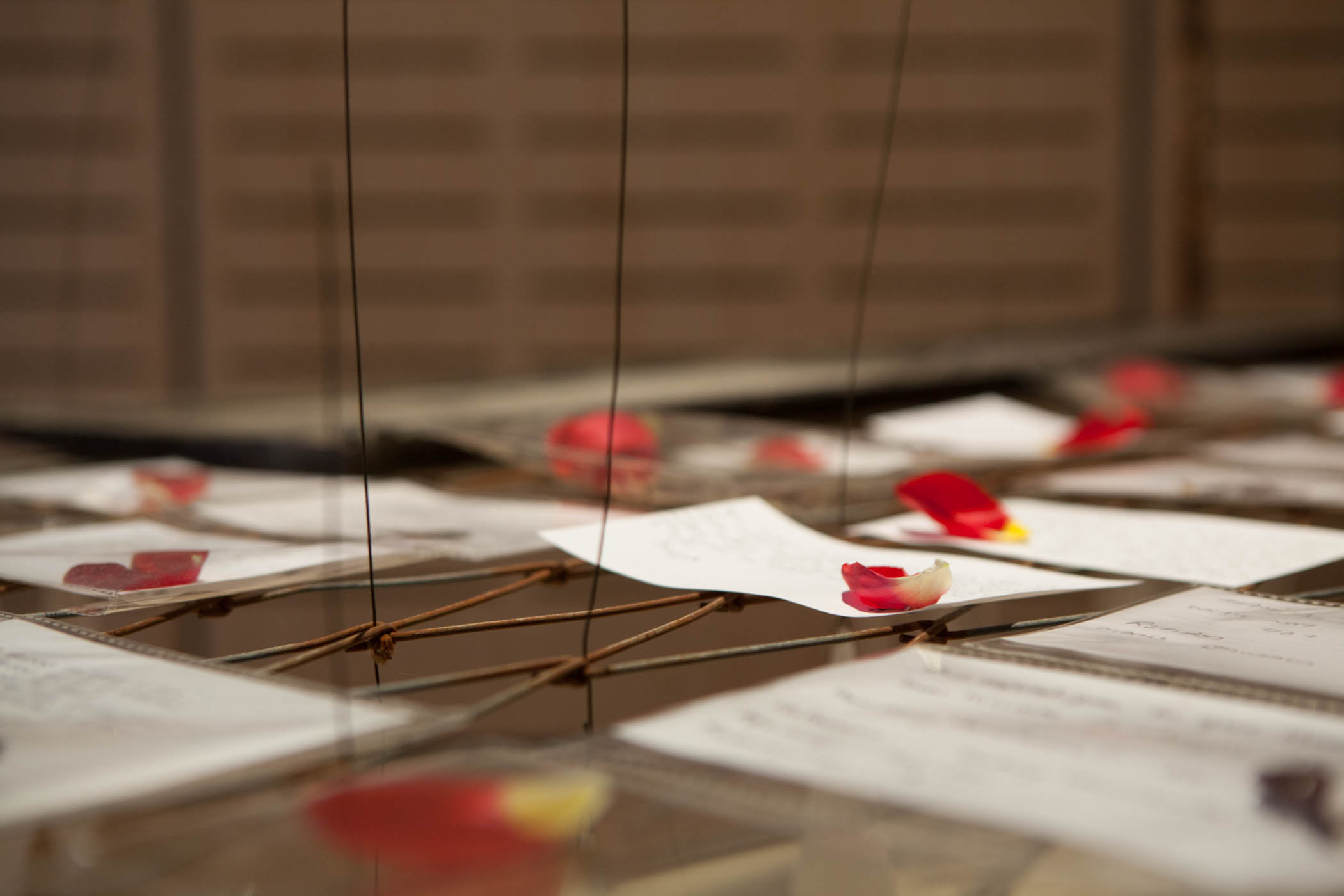 red flowers on an old steel bed with wire sticking through it . an art piece on blood donors