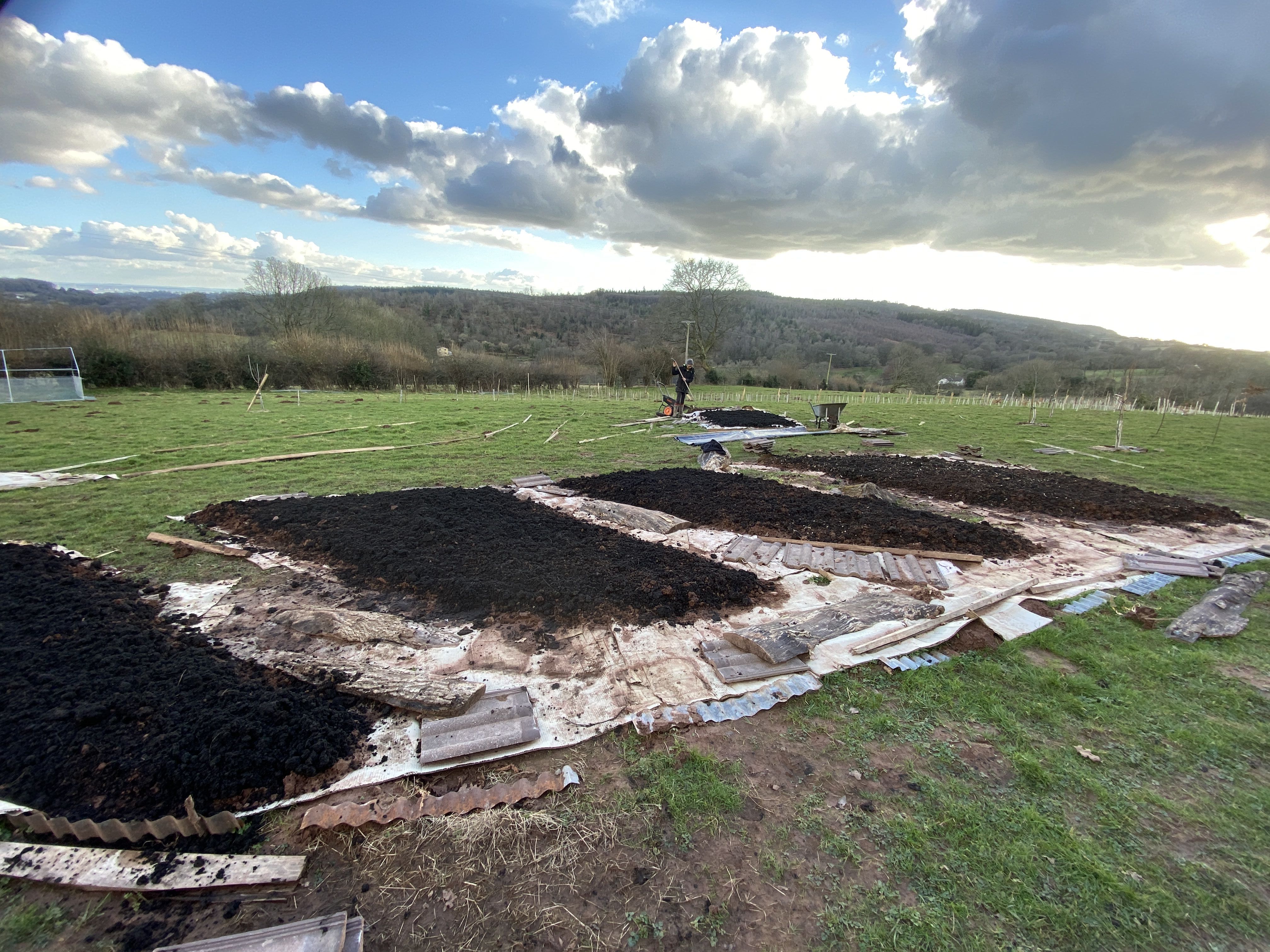 a series of no dig begs ready for planting up. Beds are leaf shaped