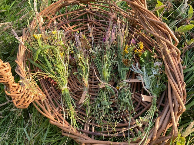 basket of samples of wild flowers