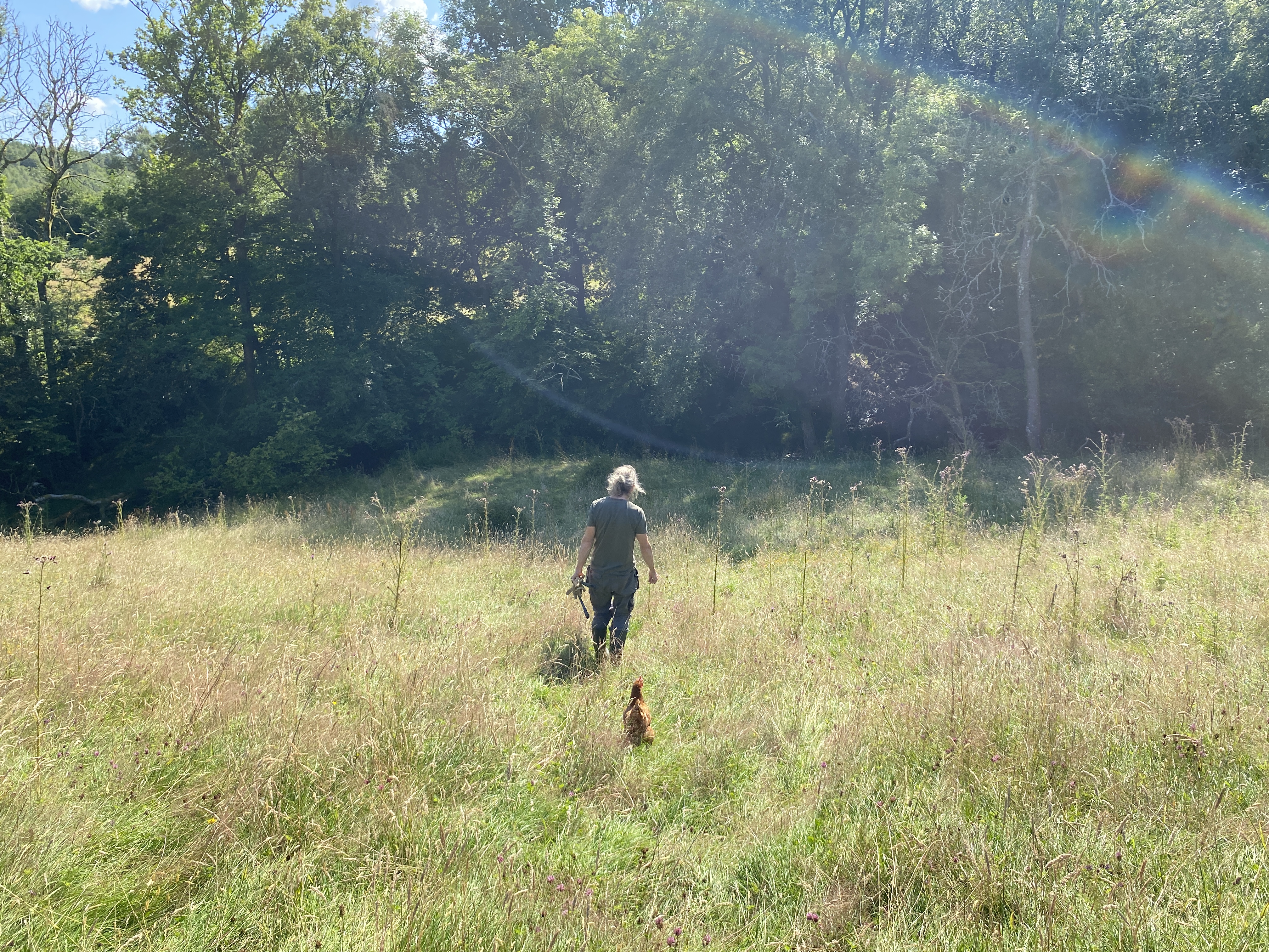 nam walking down a field with a chicken following