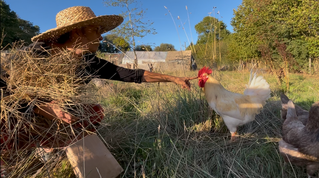 Women touching the beak of white cockerel