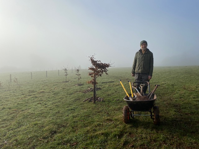 man with wheel barrow and near a young tree