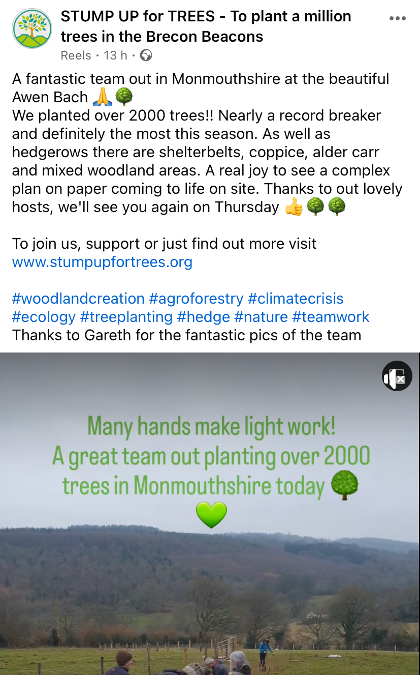 Post from Stump up for Trees about planting trees and enjoying the day at Awen Bach