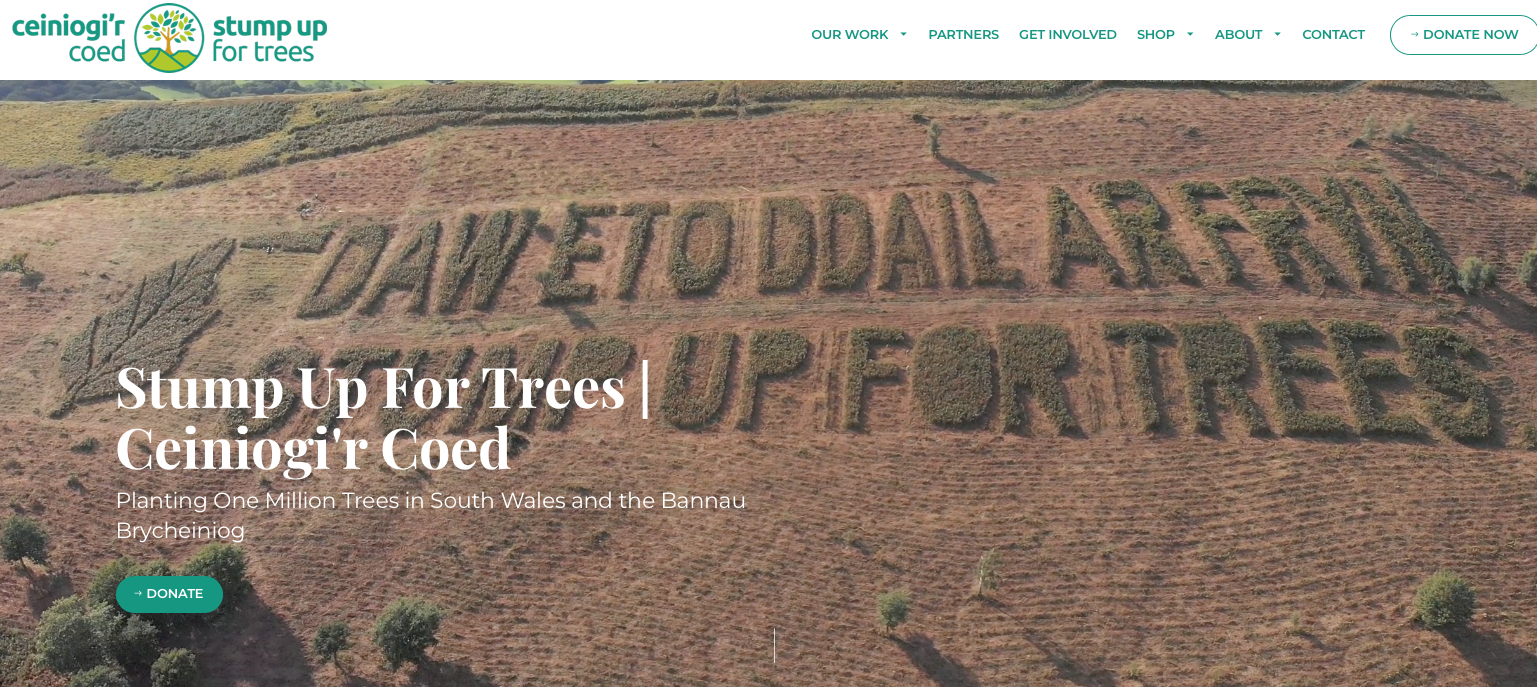 stump up for trees homepage