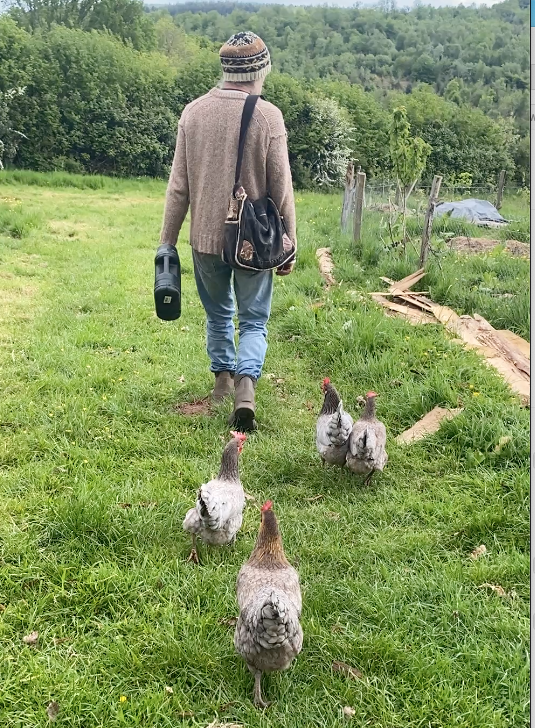 Man walking in a field followed by 4 chickens